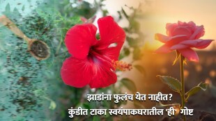 Home Gardening Hacks