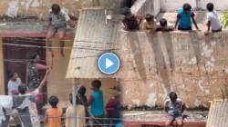 टीमवर्क! खेळता खेळता टेरेसवर अडकला मित्र अन्…; सगळ्या मित्रांनी मिळून असं वाचवलं; पाहा VIDEO