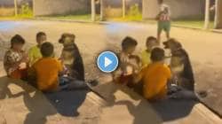बालपणीचा काळ सुखाचा! चिमुकल्यांचा श्वानाबरोबर रंगला अनोख खेळ; VIDEO पाहून तुम्हीही म्हणाल वाह्ह…