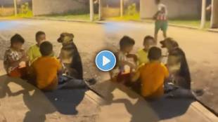 Children playing with dogs On the roadside