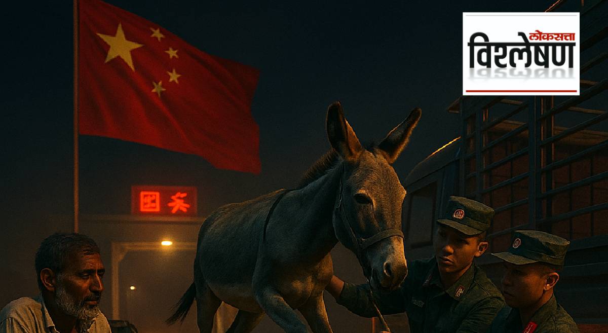 China Demands for Donkeys from Pakistan