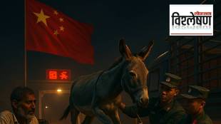 China Demands for Donkeys from Pakistan