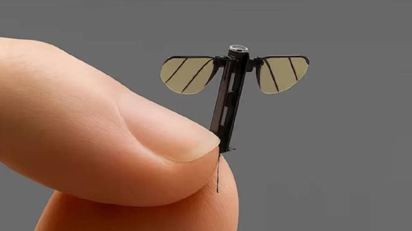 China mosquito drone News (Photo Social Media)