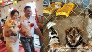 Chinese couple gets married at dog shelter