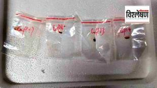 कोरोनानंतर चीनचा भयंकर कट? बुरशीची तस्करी केल्याप्रकरणी दोघांना अटक; काय आहे प्रकरण? (फोटो सोशल मीडिया)