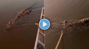 Crocodile attack fisherman video viral