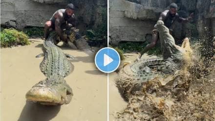 Crocodile attacks on man video viral