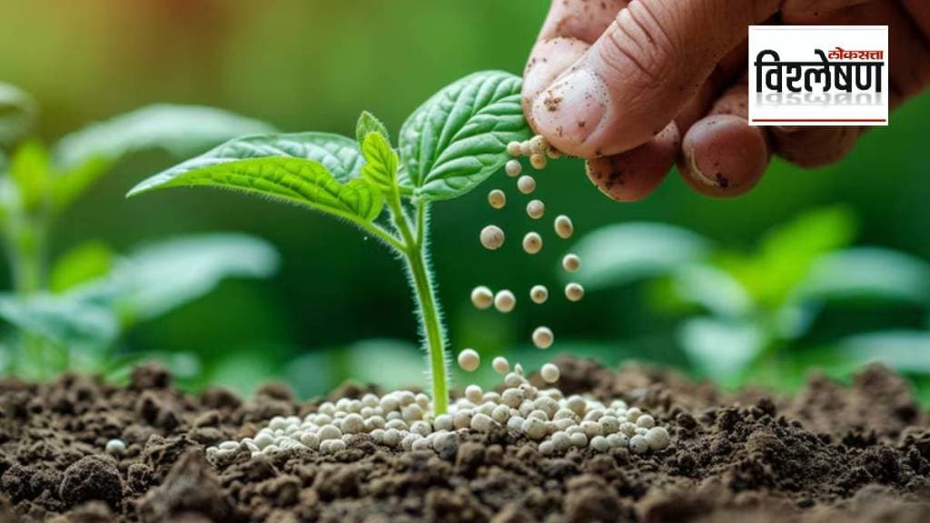 यावर्षीच्या सुरुवातीपासूनच चीनने एक टनही डीएपीचा पुरवठा भारताला केला नाही. (छायाचित्र @freepik)