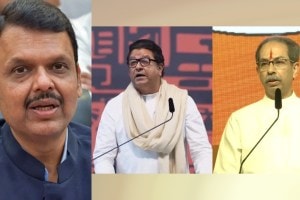 Devendra Fadnavis Statement About Raj and Uddhav Thackeray