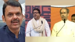 Devendra Fadnavis : देवेंद्र फडणवीस यांचं वक्तव्य; “ठाकरे बंधूंनी एकत्र यावं क्रिकेट खेळावं, जेवण करावं आम्हाला…”