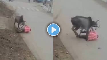 Delhi Bull Attack in man video viral