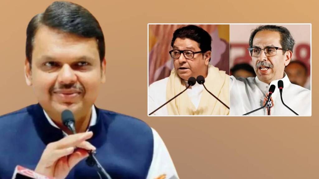 Devendra Fadnavis Taunt to Thackeray Brothers