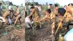 VIDEO : “धाराशिवमध्ये मोबदला न देता रिलायन्सचा टॉवर उभारला, विरोध करणाऱ्या शेतकऱ्यांना पोलिसांची मारहाण”, राजू शेट्टींचा आरोप