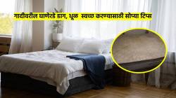 गादीवरील घाणेरडे डाग, धूळ काही मिनिटांत होईल स्वच्छ; वापरा फक्त ‘या’ सोप्या टिप्स