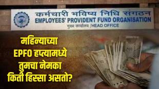 EPFO Monthly Contribution Employee Employer EPF Share