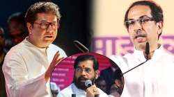 “आता उशीर झालाय”, राज-उद्धव युतीबाबत शिंदे गटातील आमदाराचं वक्तव्य; म्हणाले, १५ वर्षांपूर्वी…