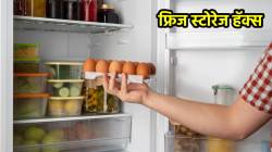 फ्रिजमध्ये सामान ठेवण्यास जागाच शिल्लक राहत नाहीयेय? मग फॉलो करा ‘हे’ सोपे स्टोरेज हॅक्स; फ्रीज राहील एकदम मोकळा