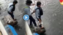 तेरा यार हूँ मैं! मित्राचे शूज खराब होऊ नये म्हणून ‘त्याने’ केलं बघा; VIDEO पाहून भारावून जाल