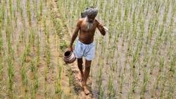 फळपीक शेतकऱ्यांसाठी खूषखबर…फळपीक विमा योजनेला मिळाली मुदतवाढ