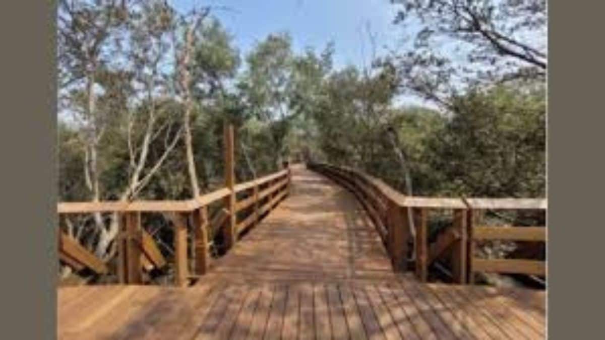 Gorai mangrove park Mumbai nature tourism