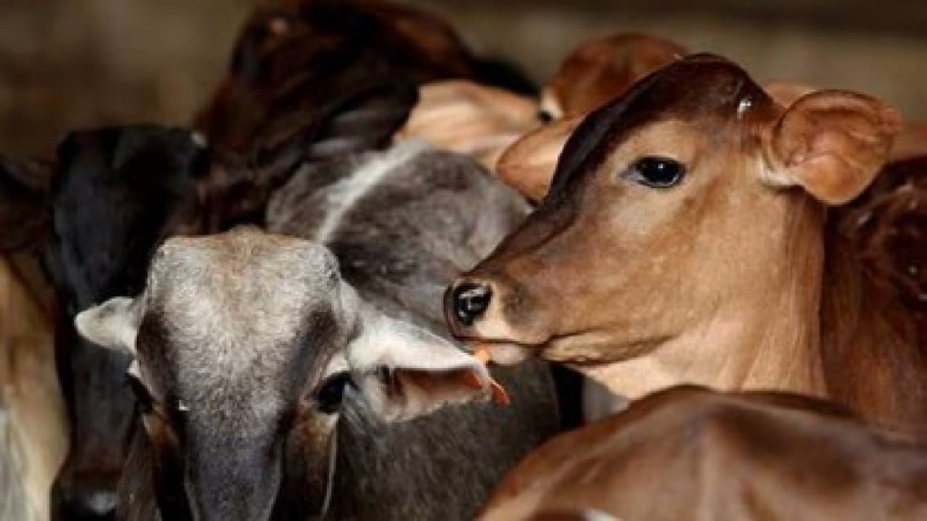 letter from the Goseva Commission has a financial impact on farmers