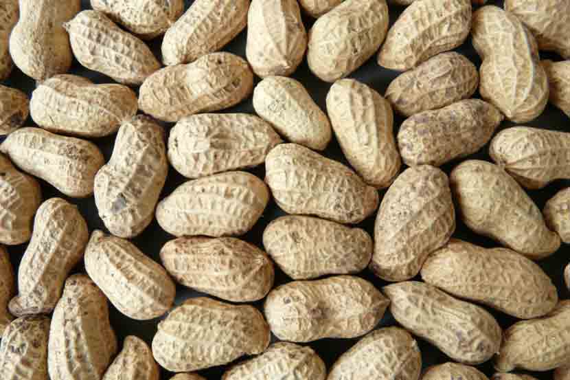Never Eat These Food Items With Tea