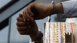 किराणा दुकान, पानपट्टीत गुटखा विकणारे अटकेत; पाच दुकानदारांना अटक