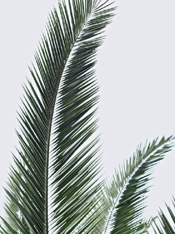 Horoscope Today Monday 30 June 2025 in Marathi Rashi Bhavishya