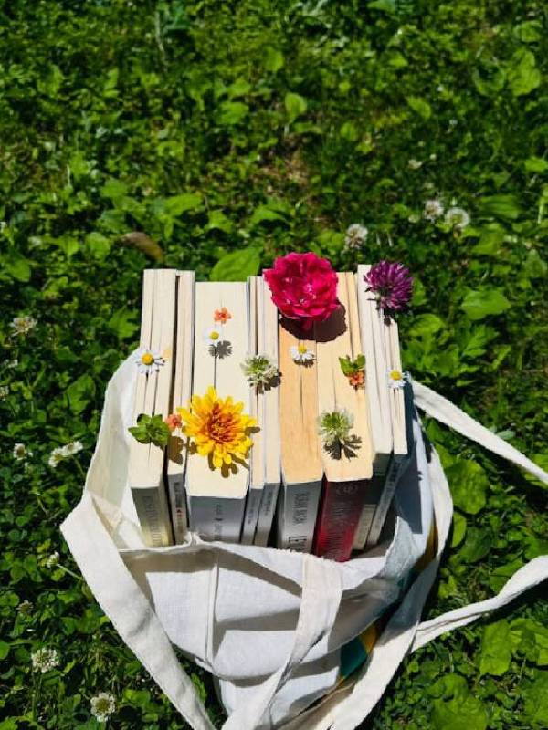 Horoscope Today Saturday 28 June 2025 in Marathi Rashi Bhavishya