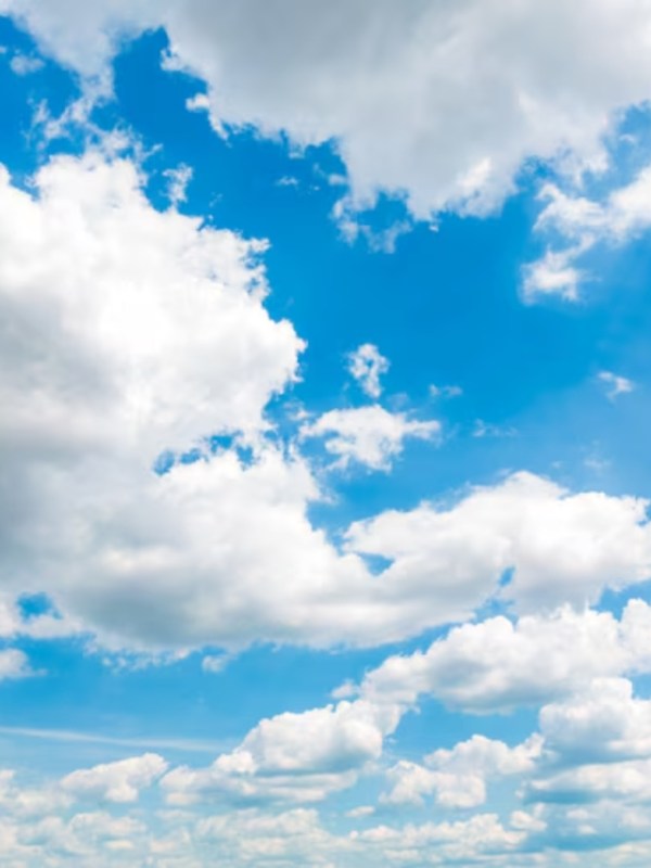 Horoscope Today Tuesday 24 June 2025