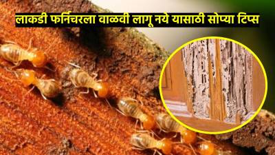 घरातील लाकडी फर्निचर वाळवी लागू नये यासाठी फॉलो करा ‘या’ ४ सोप्या ट्रिक्स