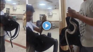 I have been bitten help Man walks into hospital in Rajasthan with snake in his backpack