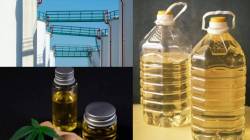 India Edible Oil Import : भारत दरवर्षी किती खाद्य तेल आयात करतो? त्यामागची कारणं काय? कोणते देश करतात पुरवठा?