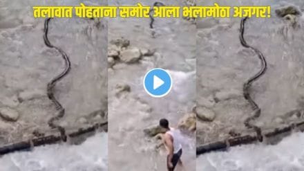 Snake in water Viral Clip