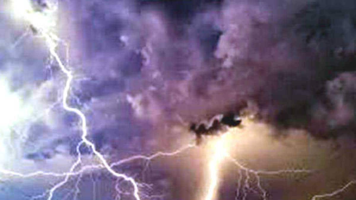 Washim heavy rain incident news in marathi
