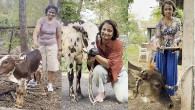 Video : मराठी अभिनेत्रीने दत्तक घेतल्या गायी, प्रेमाने करतेय संगोपन; चाहत्यांकडून कौतुक