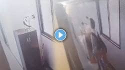 कुठून येते ही क्रूरता? चक्क ९ व्या मजल्यावरून खाली फेकलं मांजरीला; मुंबईतील घटनेचा VIDEO व्हायरल