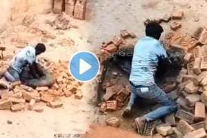 Man Vs Leopard Video