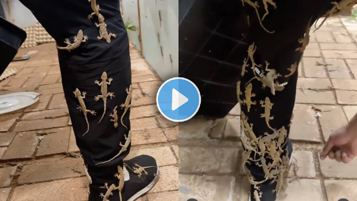 Man covered in lizards video viral