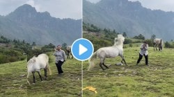 “एक नंबर तुझी कंबर” गाण्यावर डान्स करणं तरुणीच्या आलं अंगलट; घोड्यानं मारली लाथ अन्…VIDEO पाहून पोट धरुन हसाल