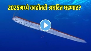 Rare 'doomsday fish' spotted in Tamil Nadu: Is it a sign of a disaster ahead? video goes viral