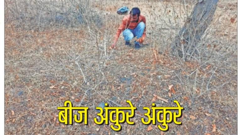 जंगलबुक : बीज अंकुरे अंकुरे