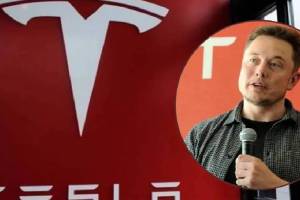 Elon Musk Tesla Share