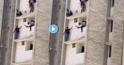 Ahmedabad : “शरण जाण्यापेक्षा मरणं चांगलं”, पोलिसांपासून वाचण्यासाठी गुन्हेगार चढला पाचव्या मजल्यावर; हाय व्होल्टेज ड्राम्याचा VIDEO व्हायरल