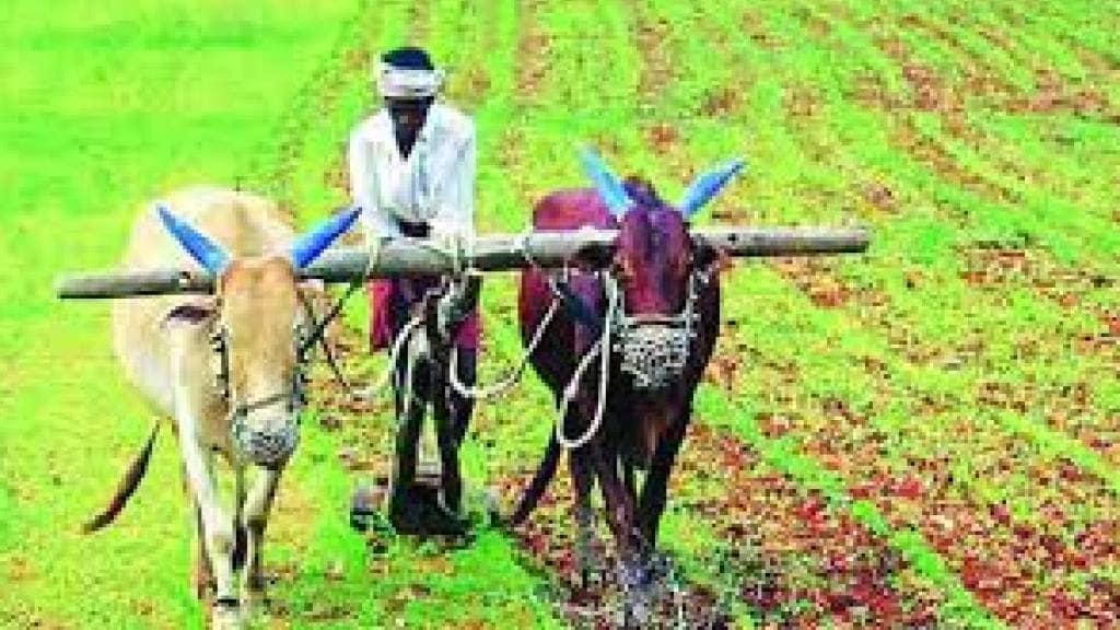 Nanded suffers from lack of rain risking agricultural progress