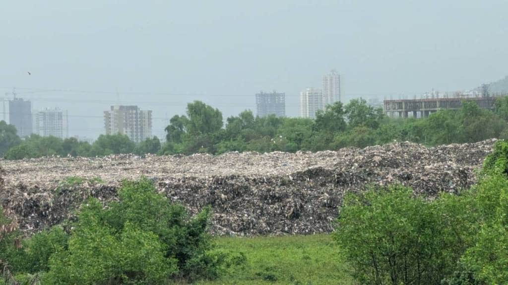 Environmentalists angered by garbage and soil dumping on green belt from Diva Sabe to Mumbra