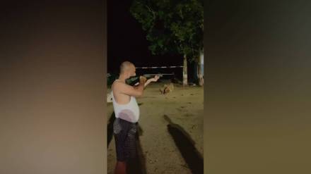 Dog killed in air gun firing, Dog killed air gun firing Bhandara,