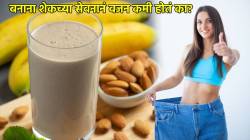 बनाना शेकच्या सेवनानं वजन कमी होतं का?पोषणतज्ज्ञांनी दिलेली माहिती एकदा वाचाच