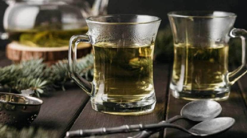 How To Build Habit Of Drinking Green Tea Daily 