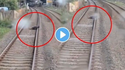 Mumbai mira Road station man try to suicide railway track platform motorman saves his life